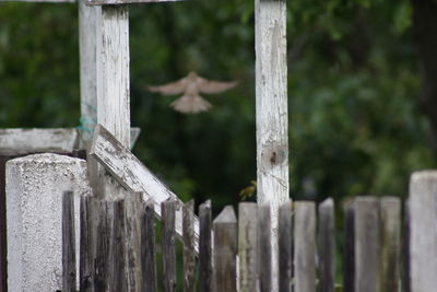 Close-up of wooden post