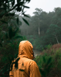 Rear view of man against trees in forest