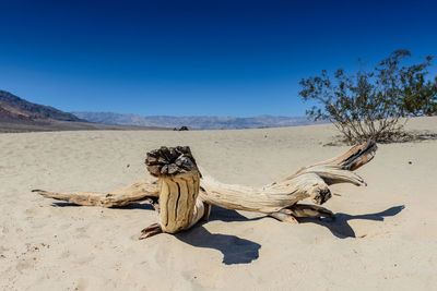 Scenic view of desert