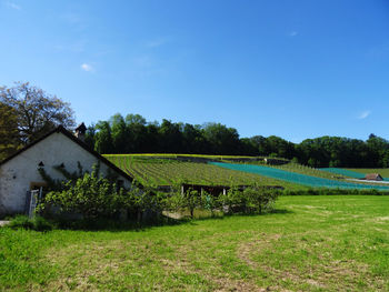 Scenic view of trees and houses against sky