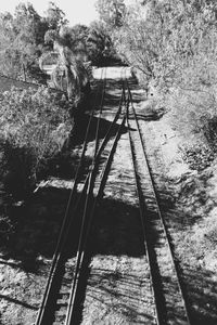 High angle view of railroad tracks amidst trees