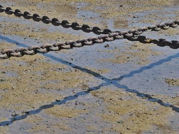 Close-up of rope on water