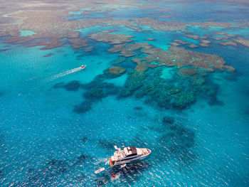 High angle view of people swimming in sea