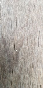 Full frame shot of wooden floor