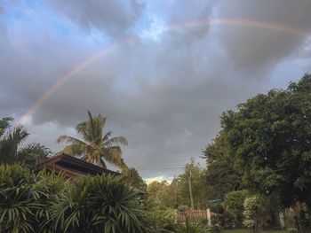 Low angle view of palm trees against rainbow in sky