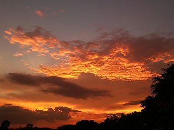 Silhouette of trees against cloudy sky