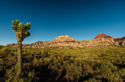 Scenic view of landscape against clear blue sky