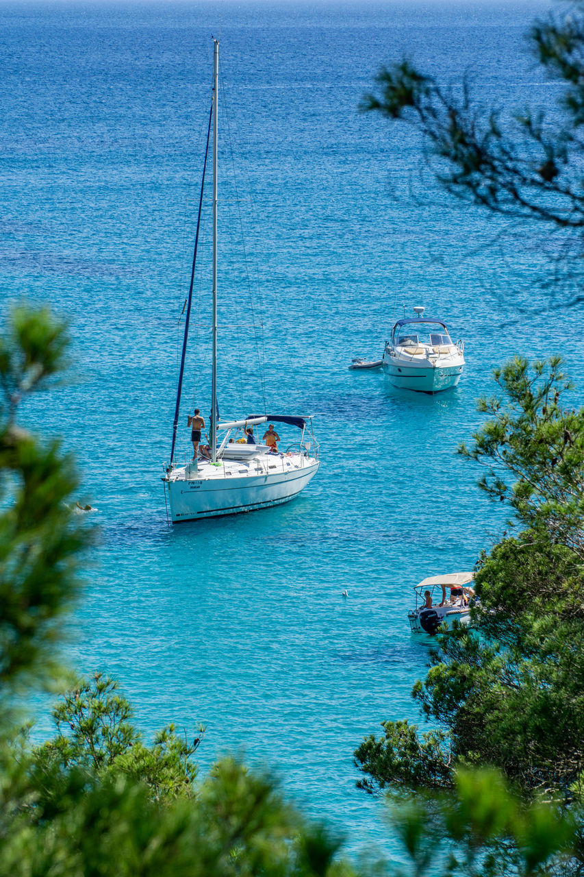 SAILBOATS SAILING ON SEA