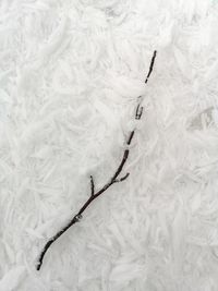 High angle view of snow on field
