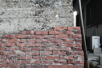 Close-up of brick wall of building