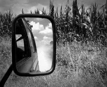 Close-up of side-view mirror