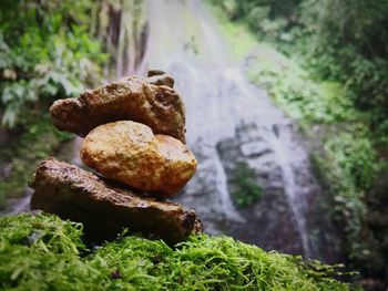 Close-up of rocks on rock