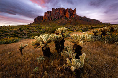 Rock formations on landscape against sky