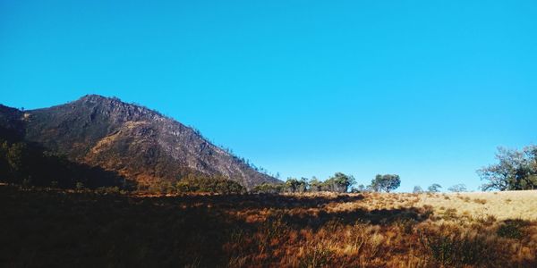 Scenic view of field against clear blue sky