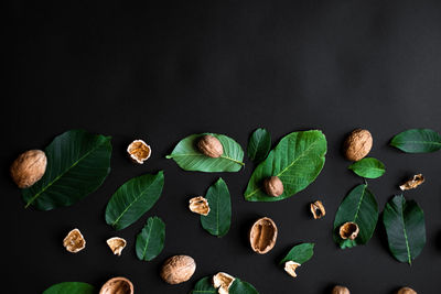 High angle view of leaves on table