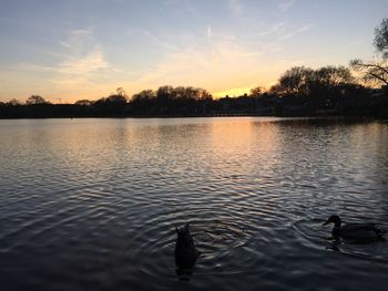 Scenic view of lake at sunset