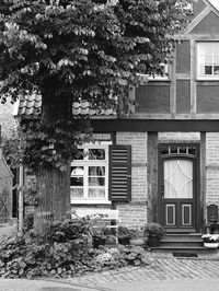 Exterior of house and tree by building