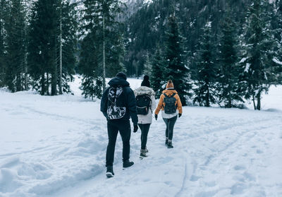 Group of friends hiking on snowy path in moody forest