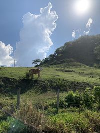 Scenic view of land against sky