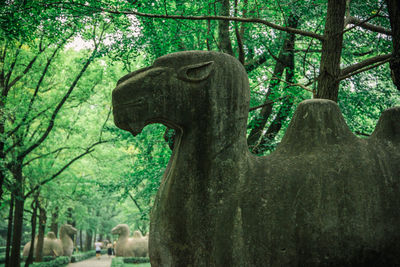 Close-up of animal statue in forest