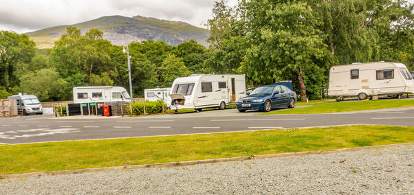 Cars on road against trees and plants in city