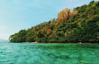 Scenic view of sea against sky