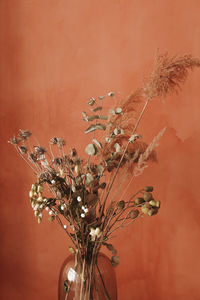 Close-up of wilted flower plant against wall