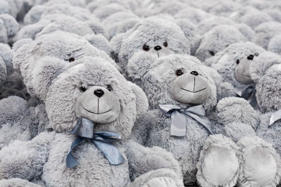 Close-up of stuffed toy