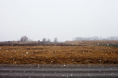 Trees on field against sky during winter