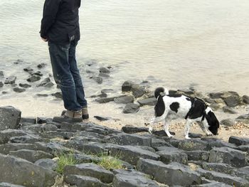 Low section of man with dog standing on beach