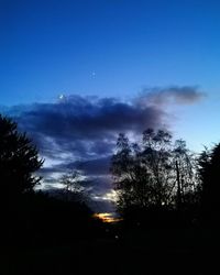 Low angle view of silhouette trees against sky at night