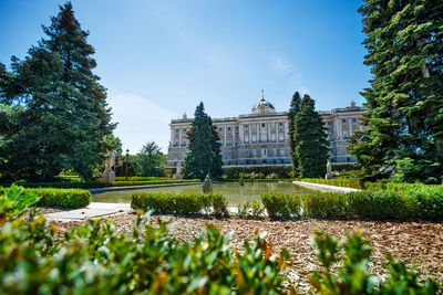 View of trees and buildings against sky