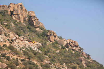 Low angle view of cactus against clear sky
