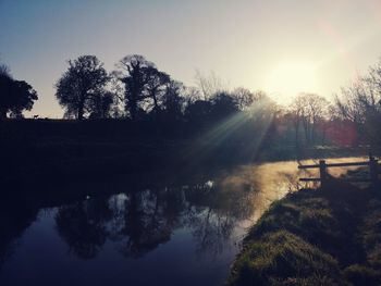 Scenic view of trees against bright sun