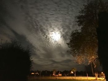 Silhouette trees against sky at night