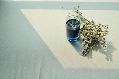 High angle view of potted plant on table