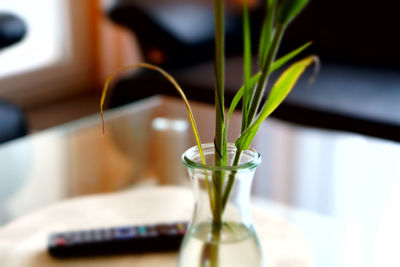 Close-up of drink on table