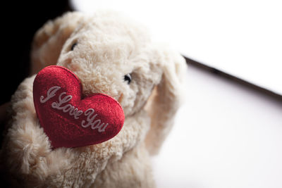 Close-up of heart shape with dog