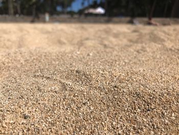 Surface level of sand on field