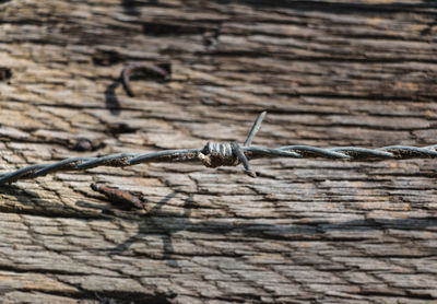 Close-up of barbed wire on wood