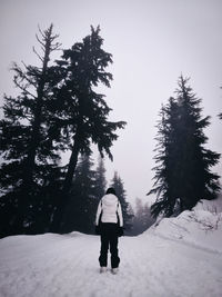 Rear view of woman walking on snow covered land