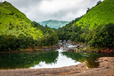 Mountain with dry river flow and green forests