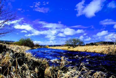 Surface level of land against blue sky