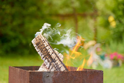 Close-up of log on wood