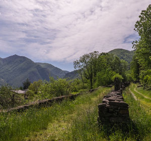 Scenic view of landscape against cloudy sky