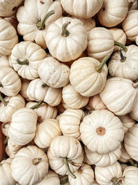 Full frame shot of pumpkins for sale in market