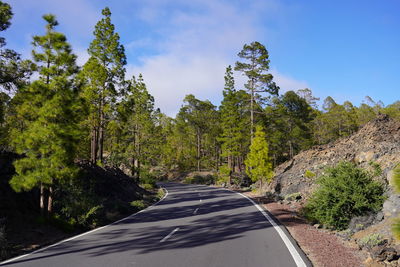 Road amidst trees against sky