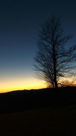 Silhouette of bare trees on landscape at sunset