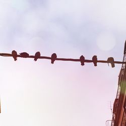 Low angle view of street light against sky