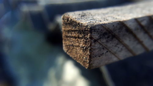 Close-up of rusty stack on wood